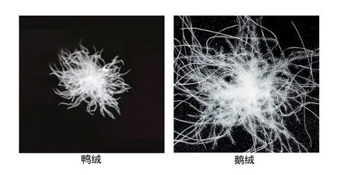 【转发】冬日里几个挑选羽绒服的小妙招，你都了解吗？