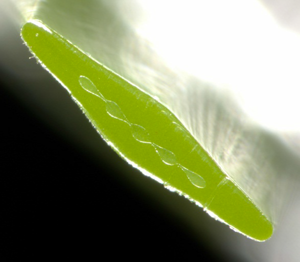 多组分纤维的前沿应用研究