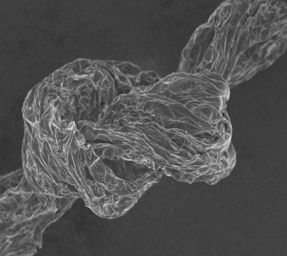 生物质石墨烯内暖等功能纤维问世